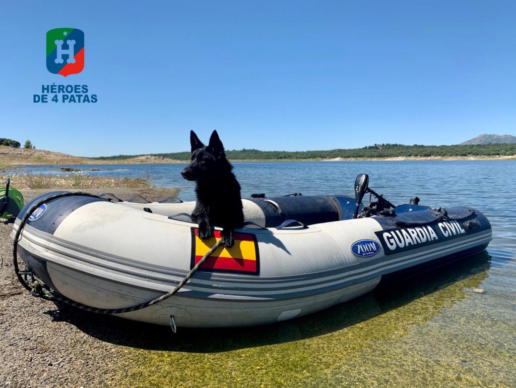 Tesla, Pastor Alemán