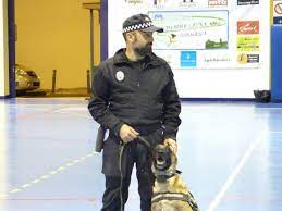 Arón, Pastor Belga Malinois