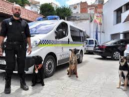 Arón, Pastor Belga Malinois