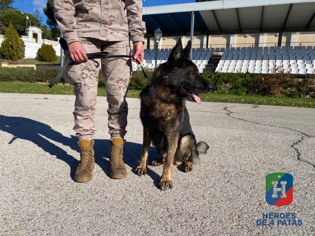 Naruk, Pastor Alemán