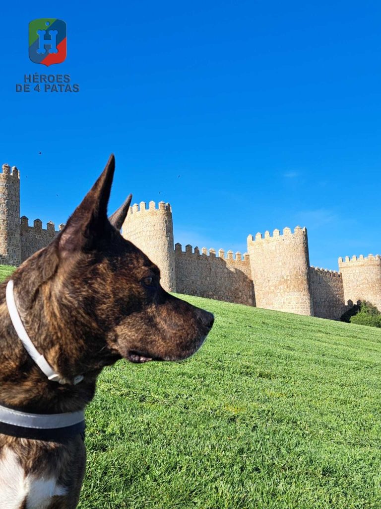 Thor, Mestizo