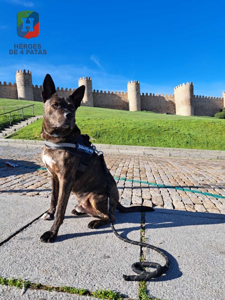 Thor, Mestizo