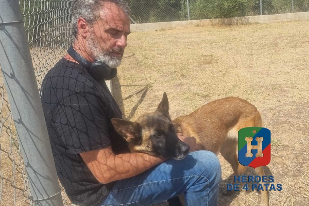 Ronda, Pastor Belga Malinois