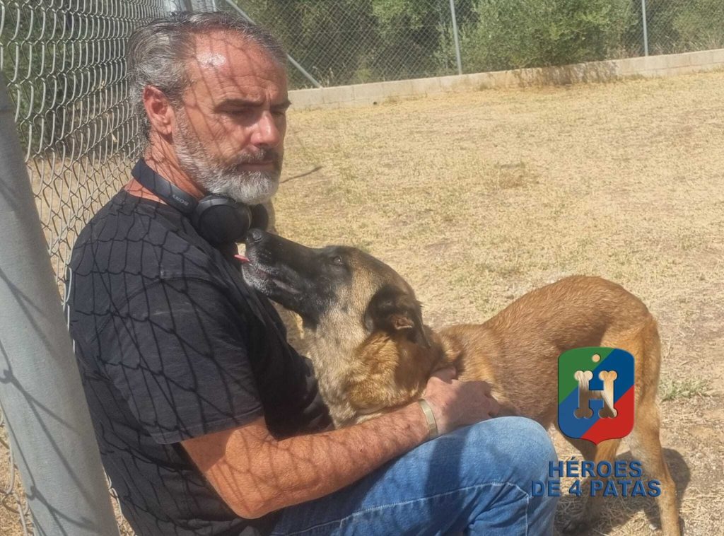 Ronda, Pastor Belga Malinois